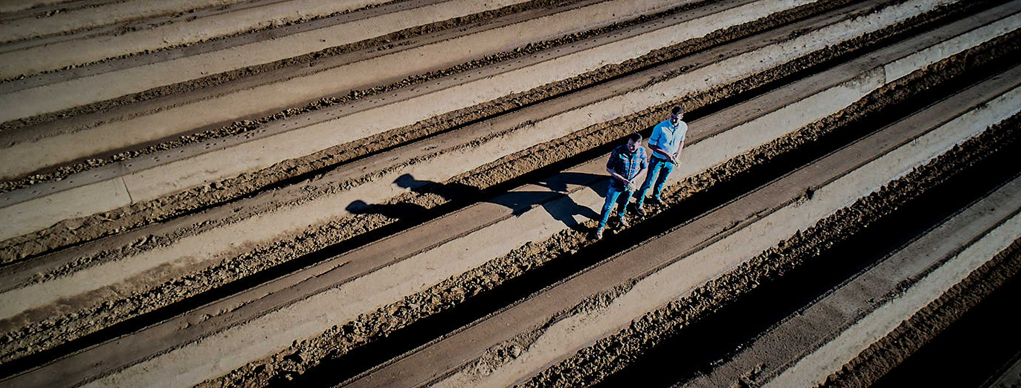 Spargel & Erdbeeren Gänger Spargel & Erdbeeren Gänger